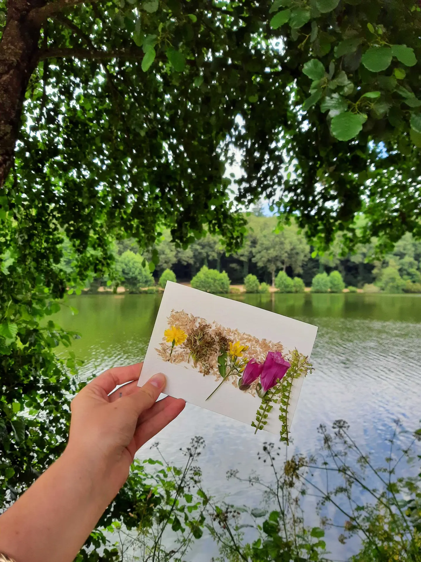 Balade contes et créations de nature