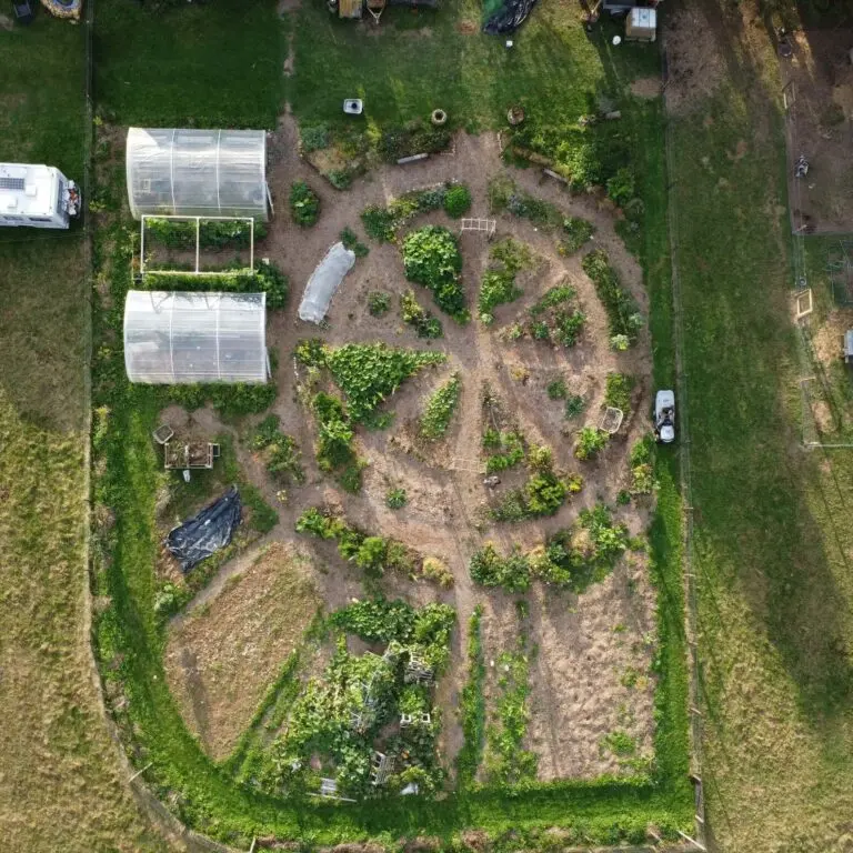 12-potager-en-forme-mandala-edited-768x768