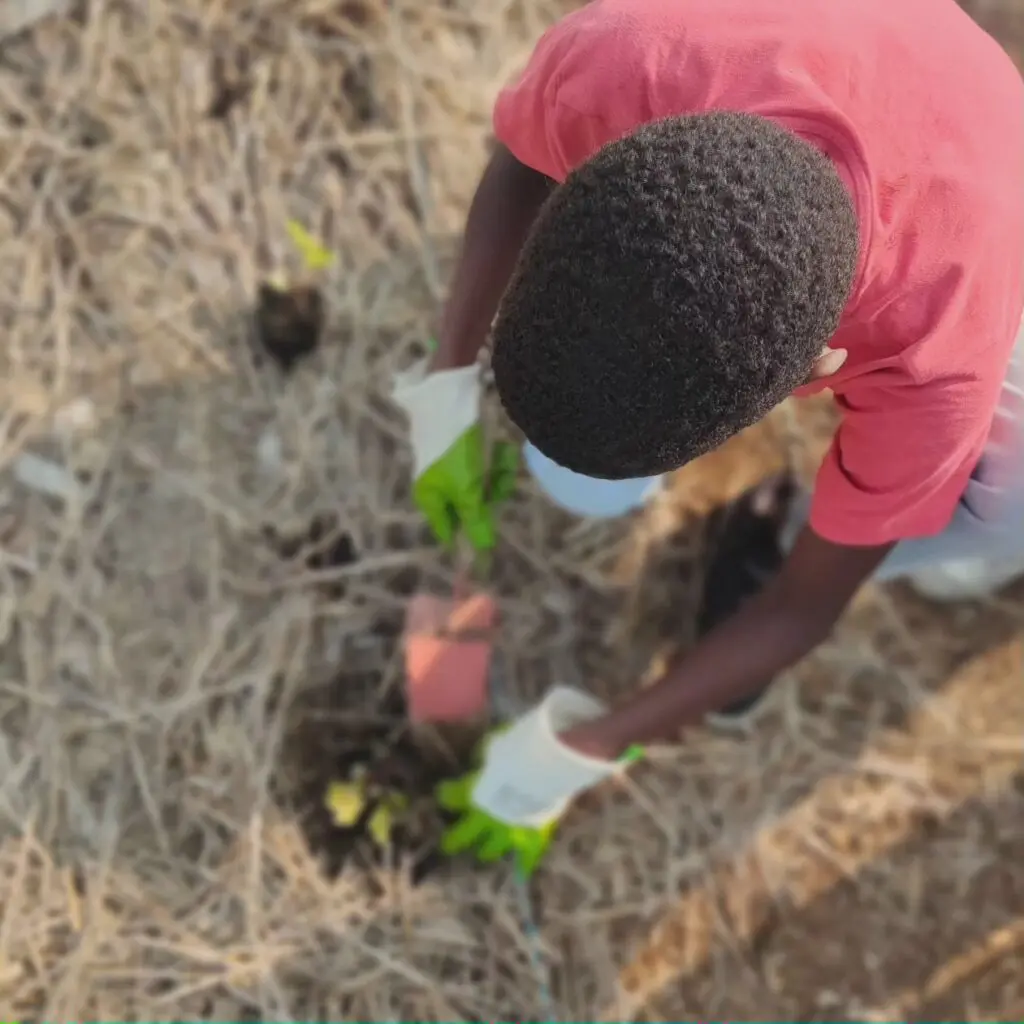 16-tryptique-visite-micro-ferme-1024x1024