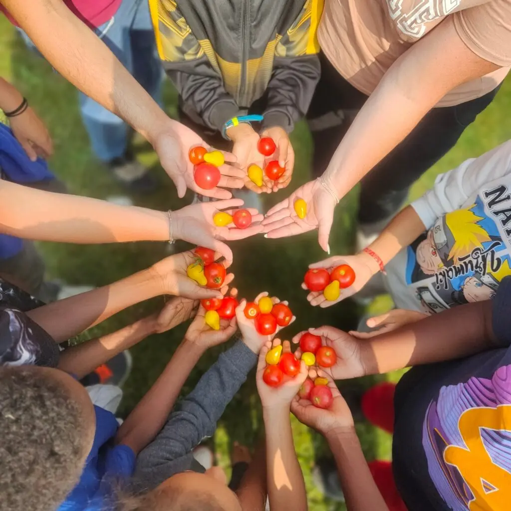 17-tryptique-acceuil-visite-micro-1024x1024