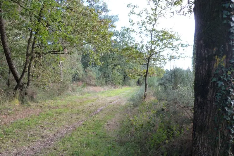 2 hautiere_Bréal