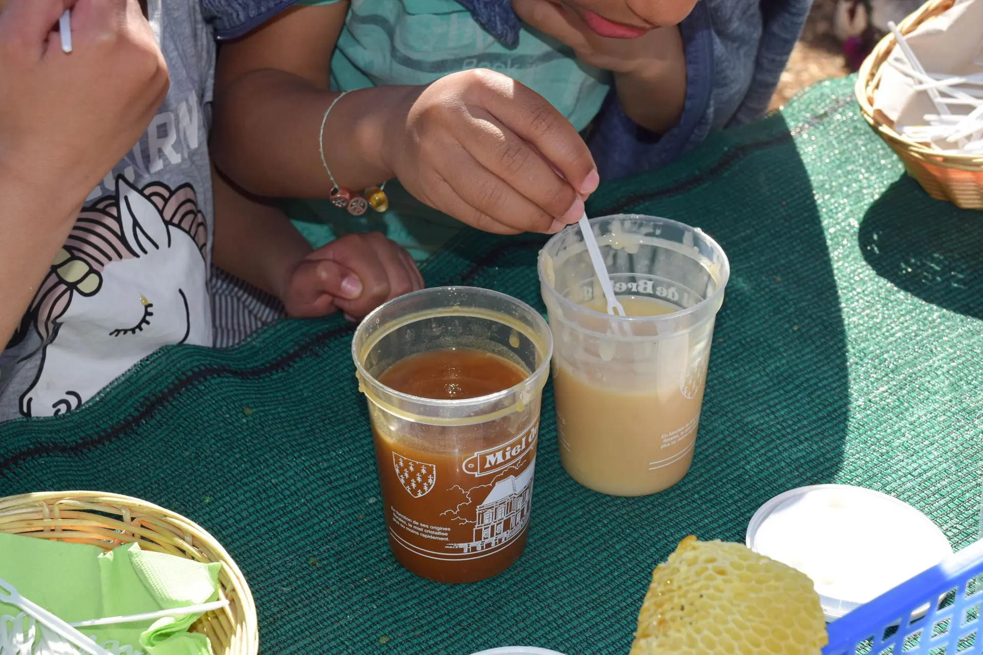 dégustation de miel