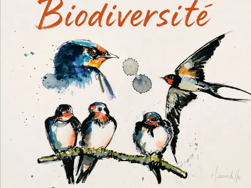 exposition_vanessabelleperche_biodiversité_concoret_DestinationBroceliande