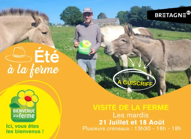 2026_Ete_Guiscriff_Visite_Ferme