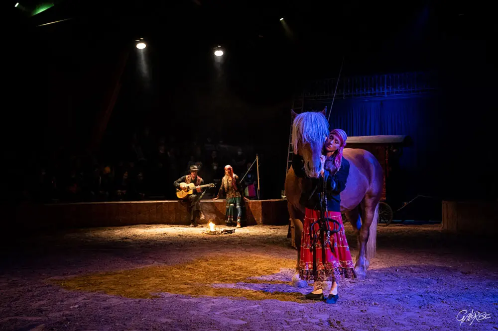 Grand spectacle équestre de Noël