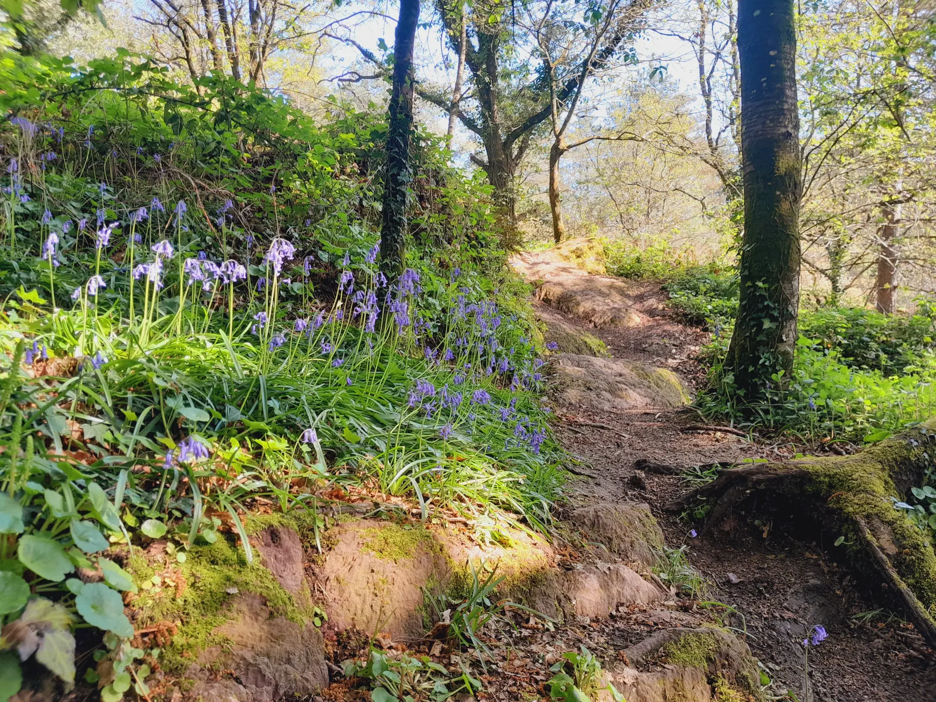 Vallon de la chambre au Loup
