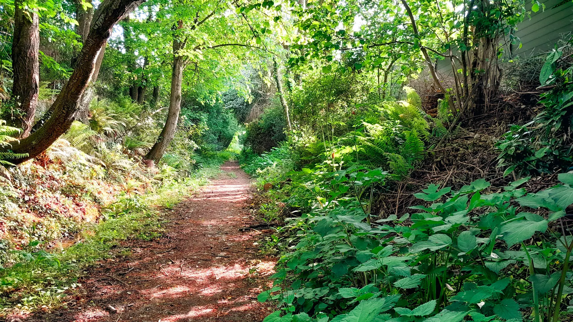 Chemin au vallon de la Chambre au Loup