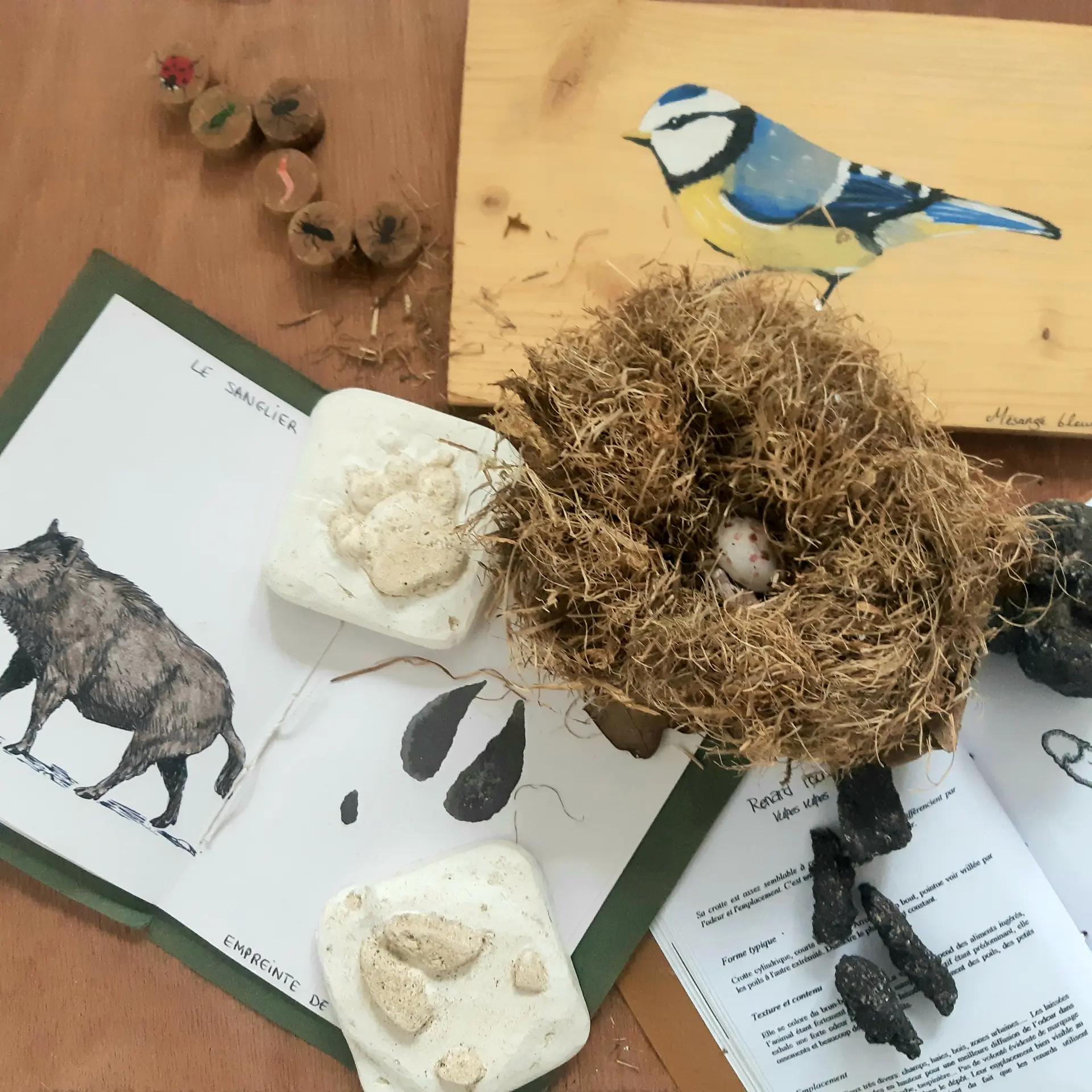 jeu de piste - nid d'oiseau