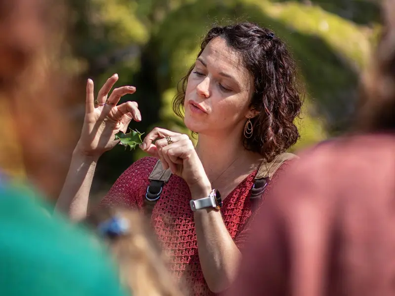 Balade-contée_Val-sans-retour_Brocéliande_les-escapades-de-Julie_Tréhorenteuc