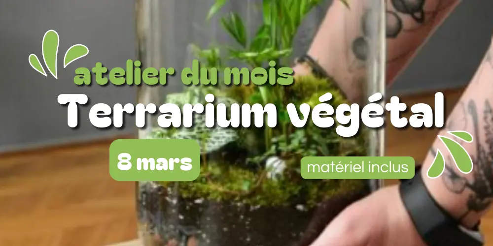 Atelier terrarium