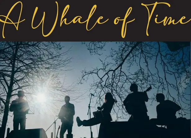 whale