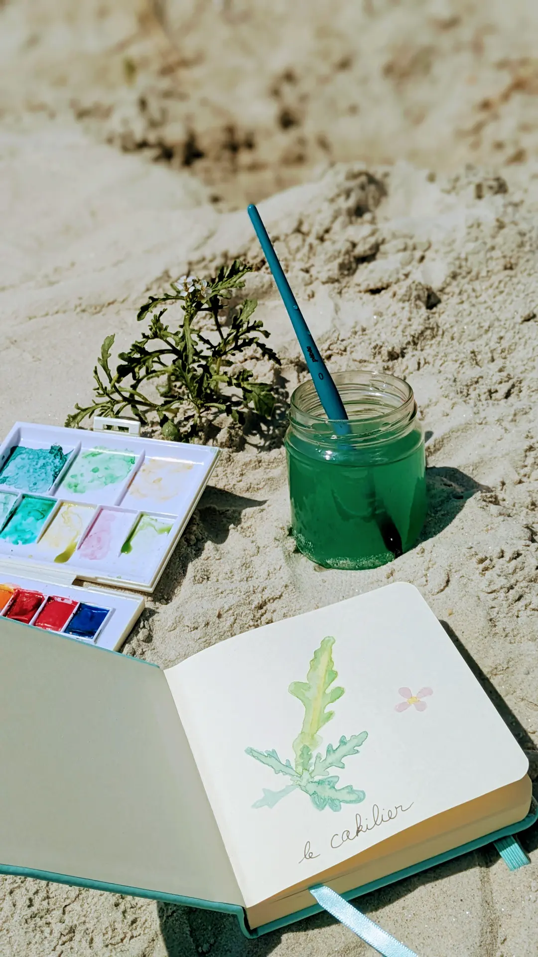 AQUARELLE-ET-BOTANIQUE-INCROYABLES-CHEMINS