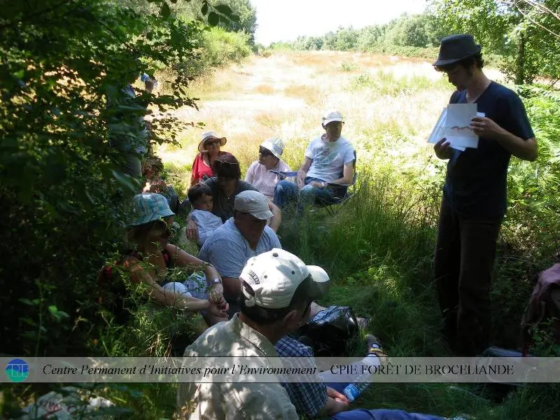 Animation nature - jeu de piste - Beaumont - Taupont - Brocéliande