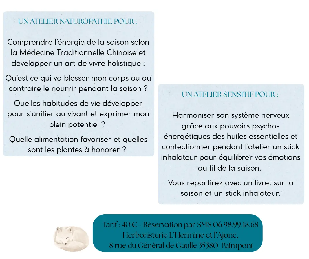 Atelier Hiver_22.11 (1)