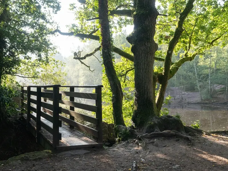 Val-sans-retour_Miroir-aux-fées_Tréhorenteuc_Paimpont_DestinationBrocéliande