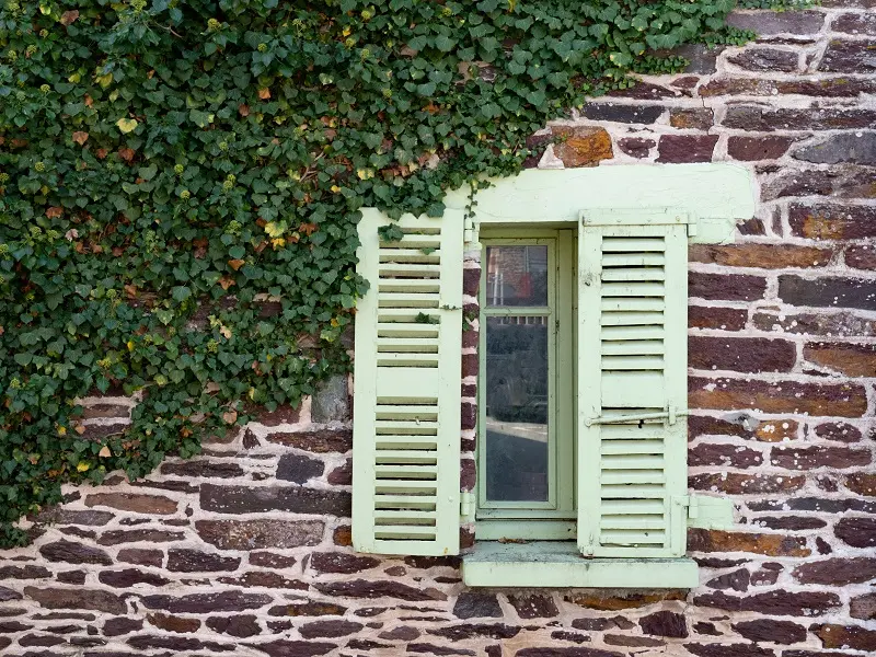 schiste_pourpre_village_Brocéliande_Morbihan
