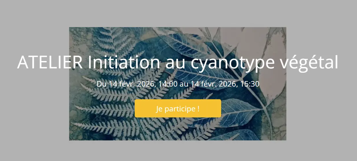 Atelier initation au cyanotype végétal