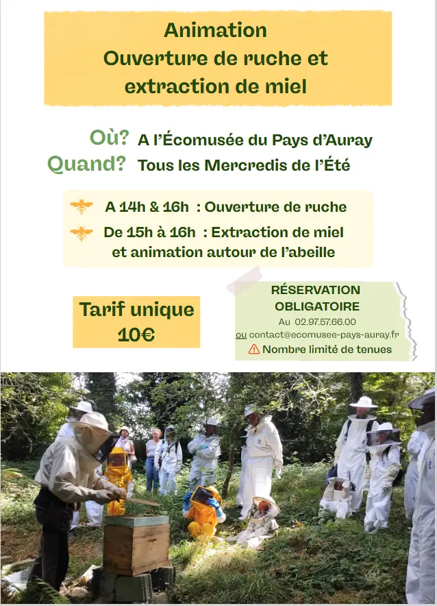 Capture d’écran 2026-07-25 174937