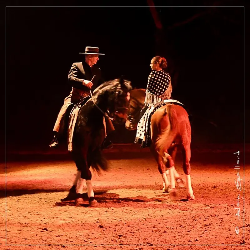 Cabaret équestre Les chevaux dansent à la bodega