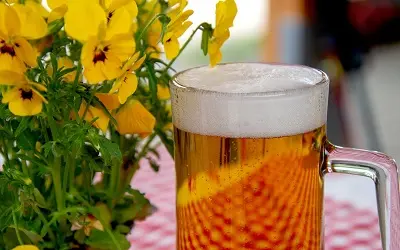 Chope bière_Fête bavaroise