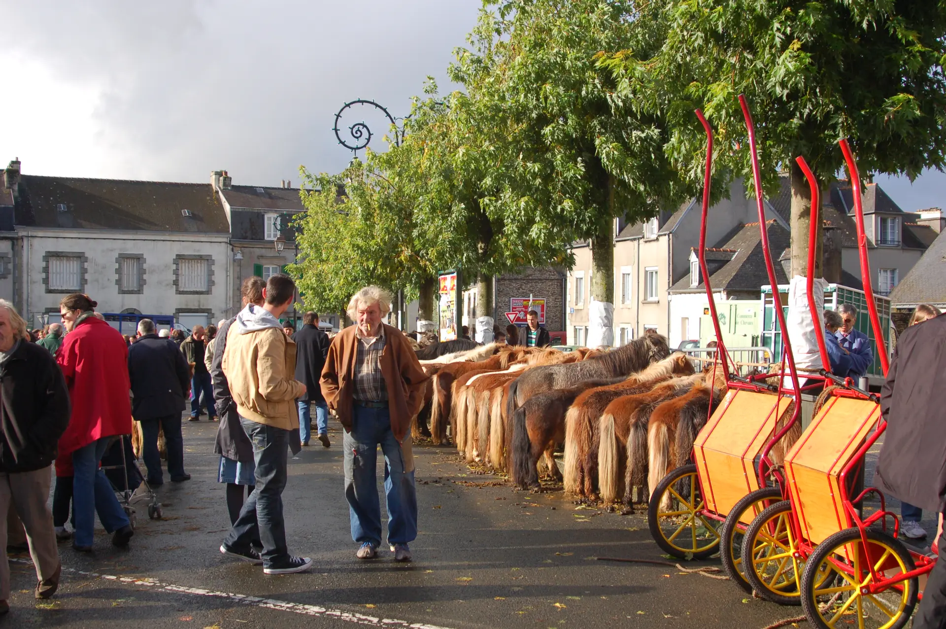Foire aux chevaux