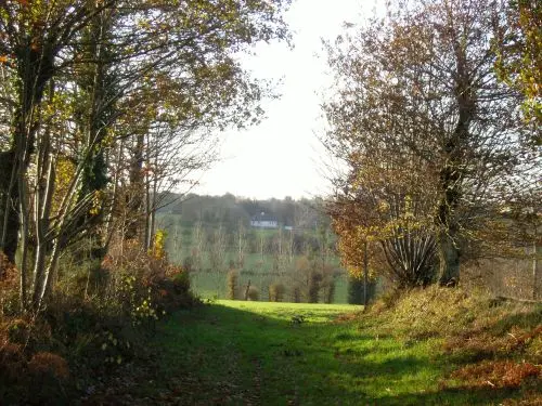 Chemin creux à Pleumeleuc