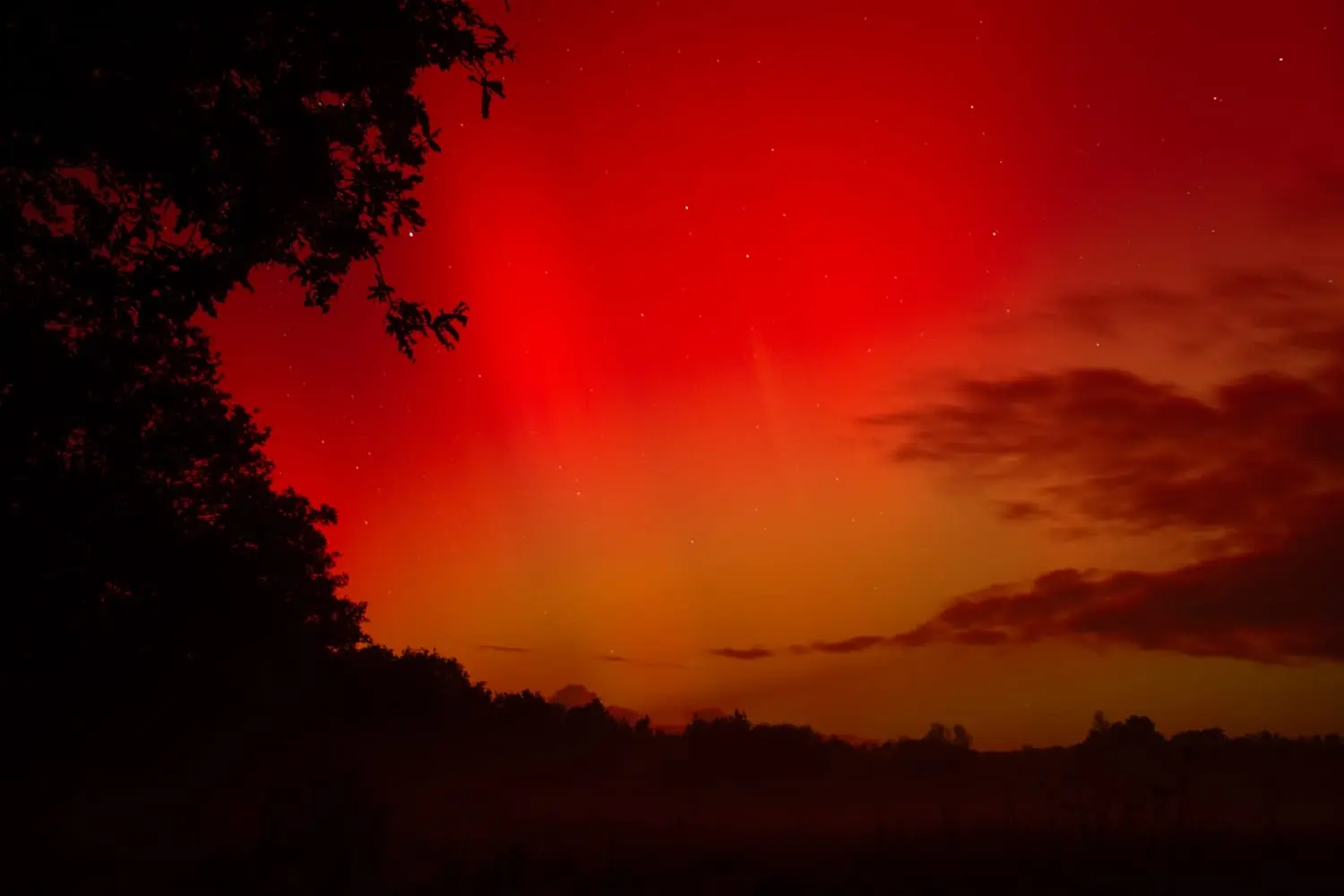 Ciel nocturne - Erwan Caudal (2)