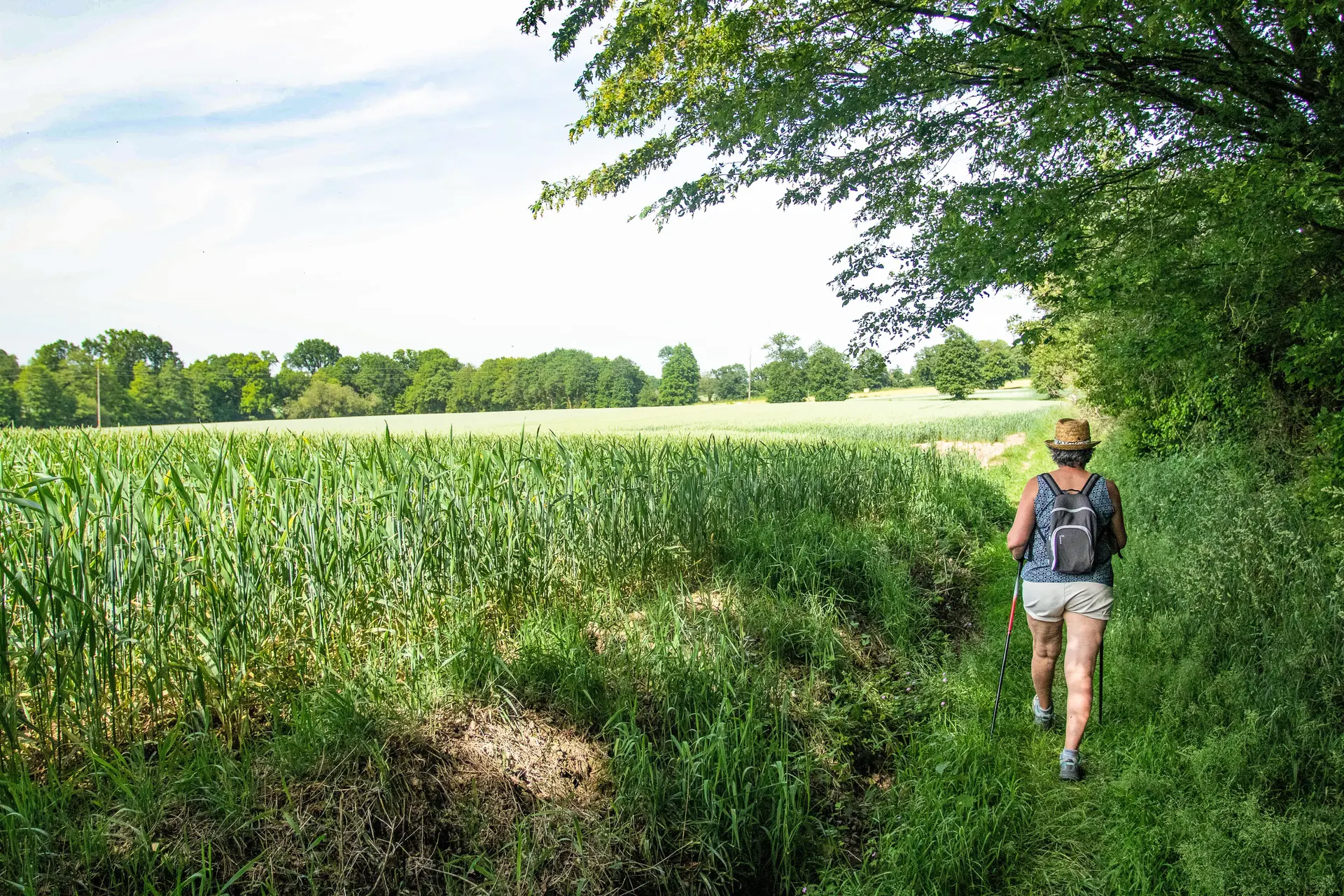 Campagne de Saint-Gonlay