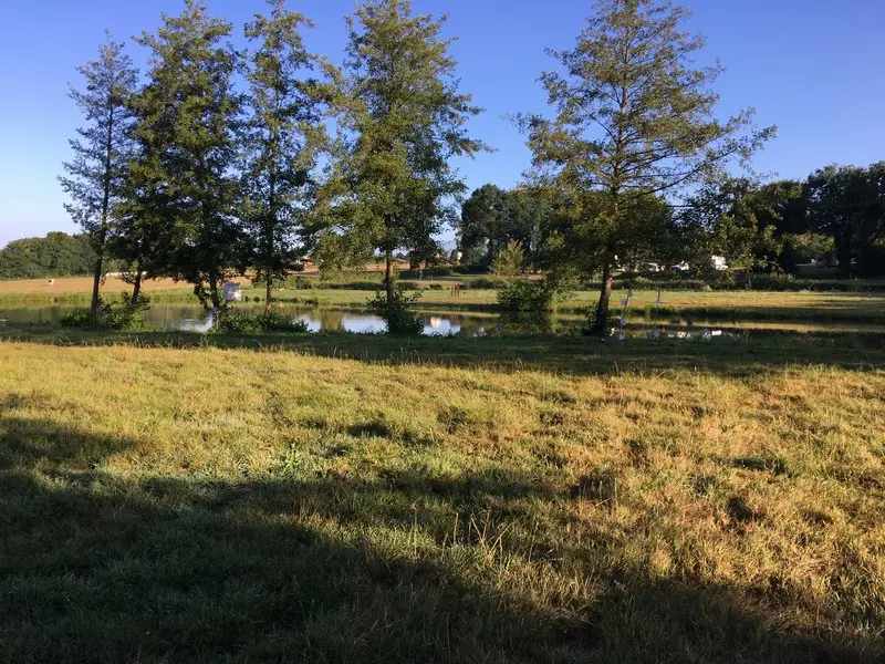 Etang communal de Concoret