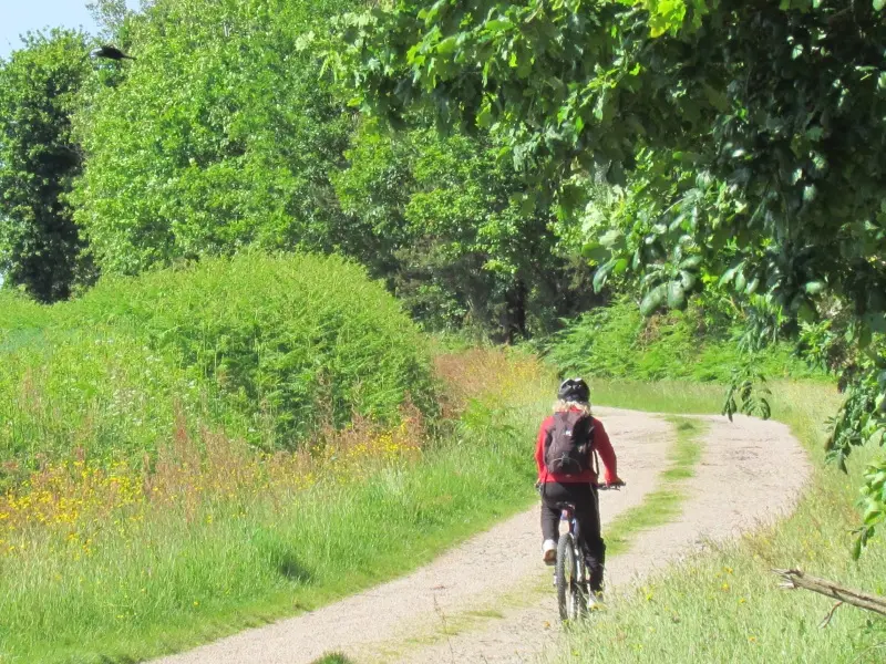 Cycliste chemins Montfort sur Meu