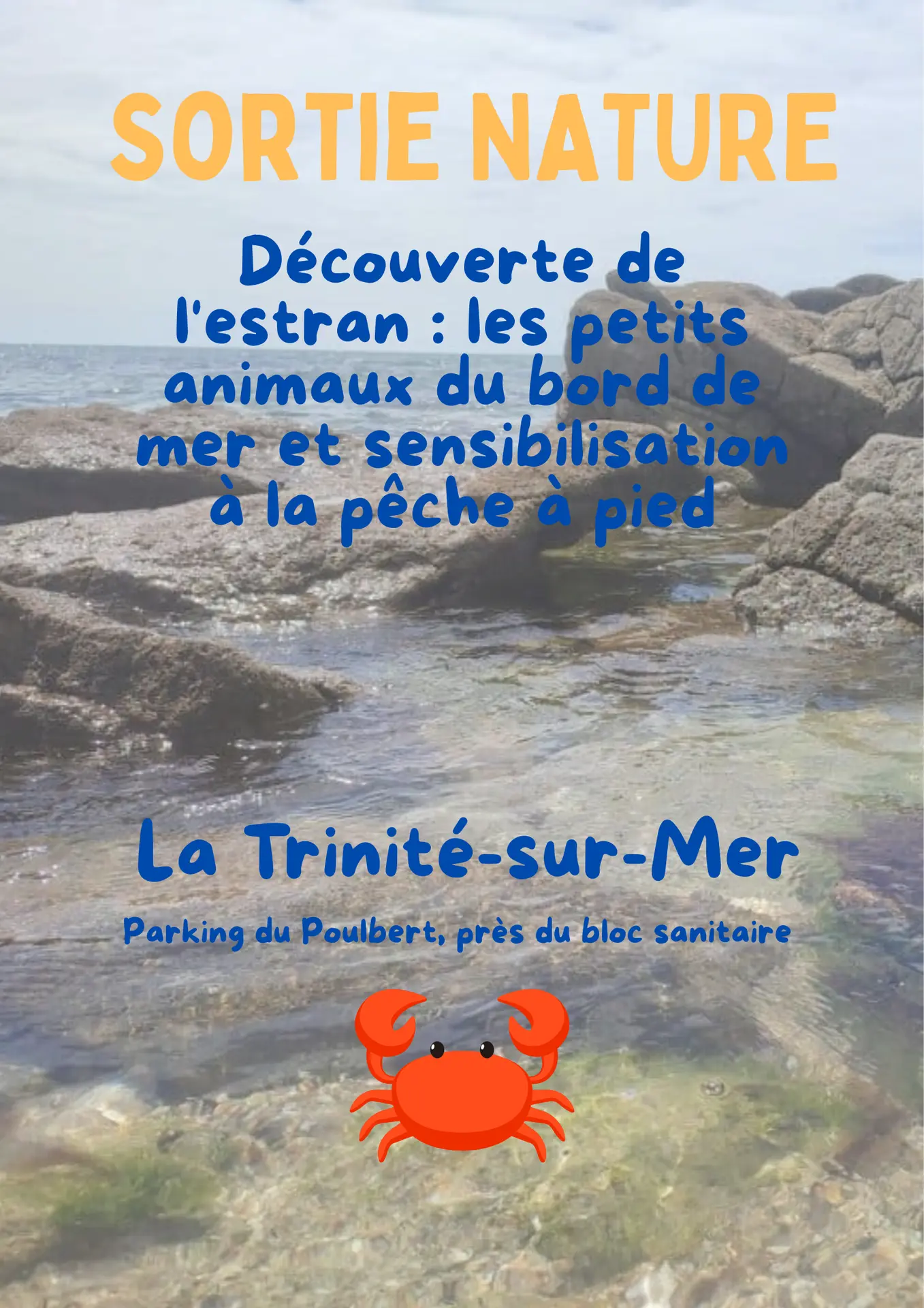 Découverte de l'estran