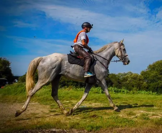 endurance-equestre
