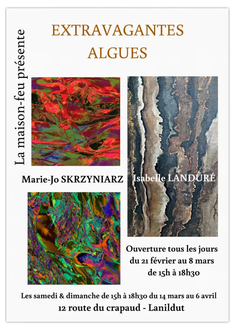 Extravagantes algues