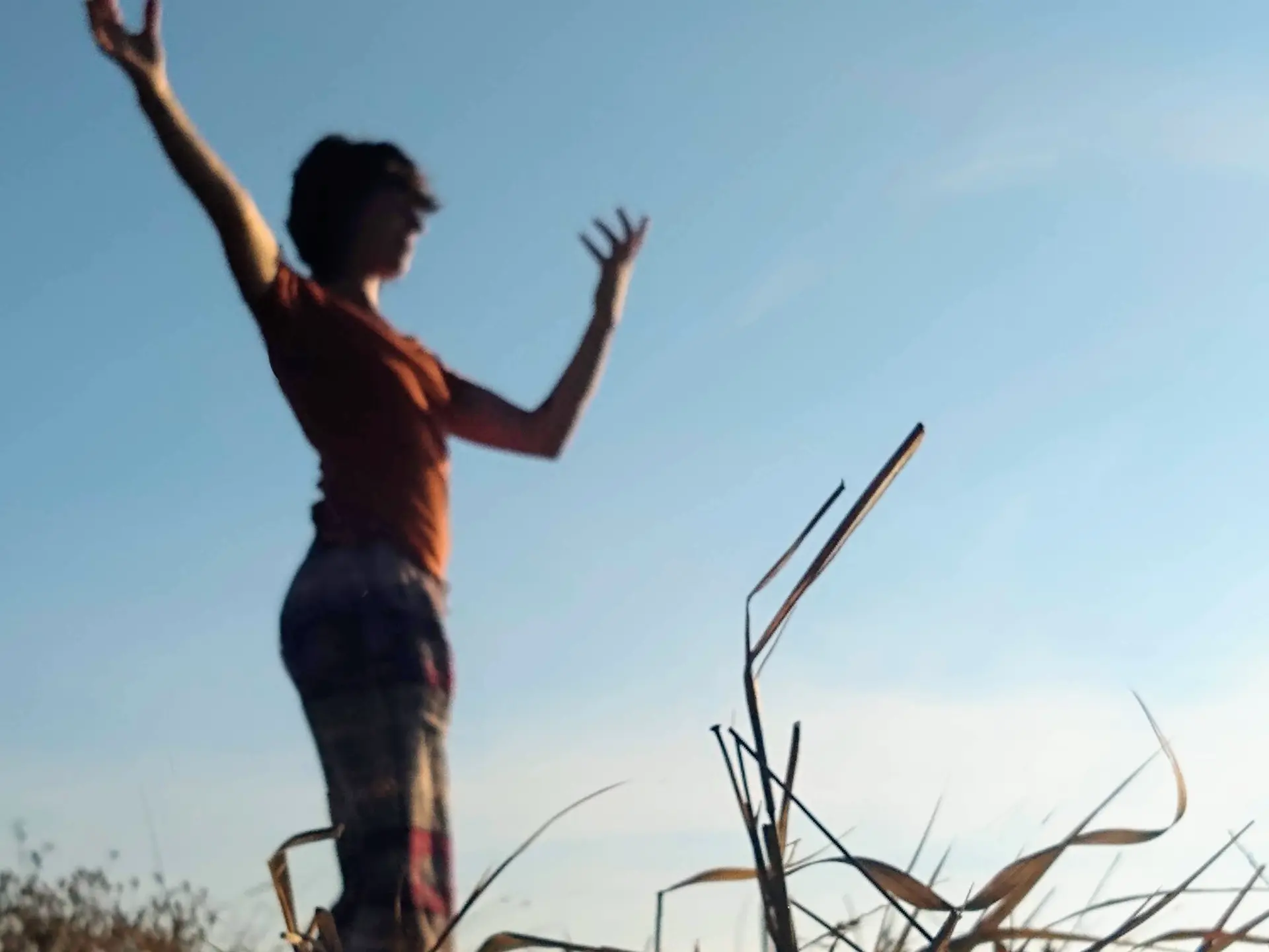 danse avec le vent