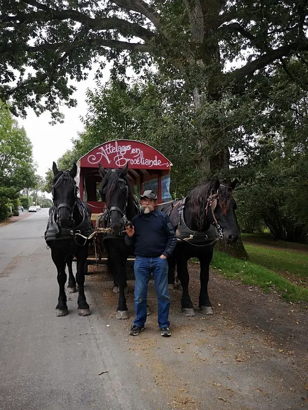 La calèche est dans le pré