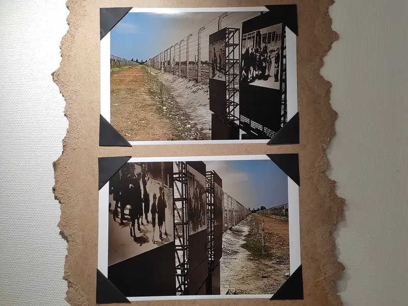 exposition_Auschwitz_80ans_liberation_mediatheque_Mauron