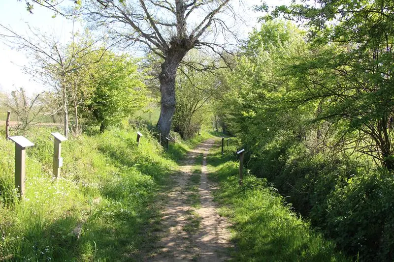 Chemin de la biodiversité