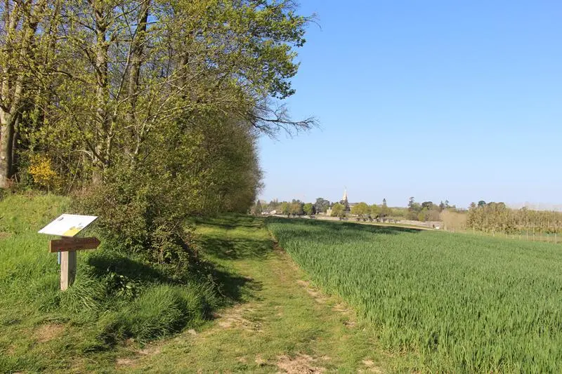 Campagne de Saint-Pern