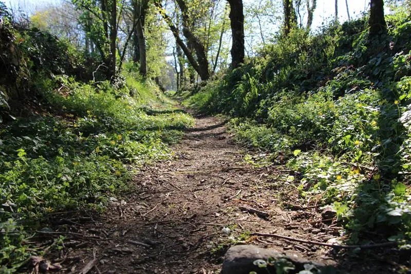 Montée vers Bécherel