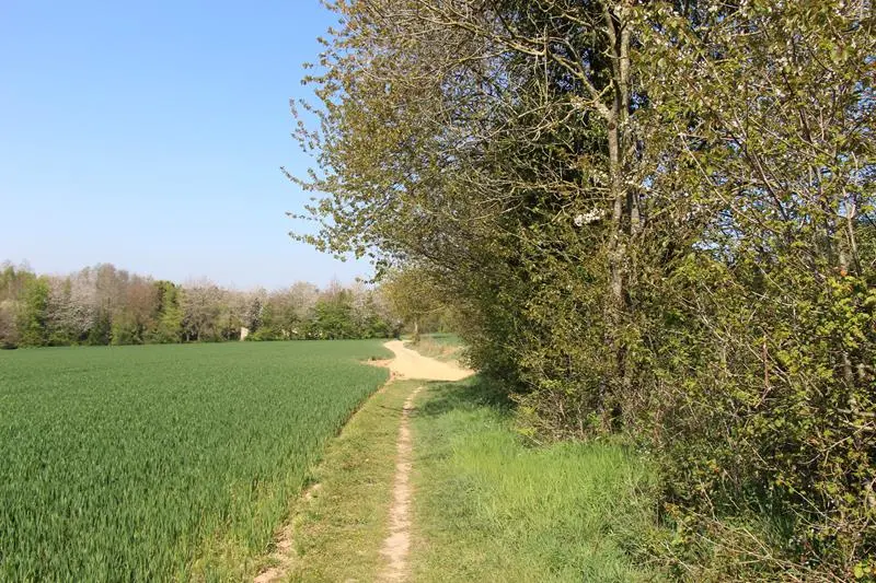 Petit chemin devient grand