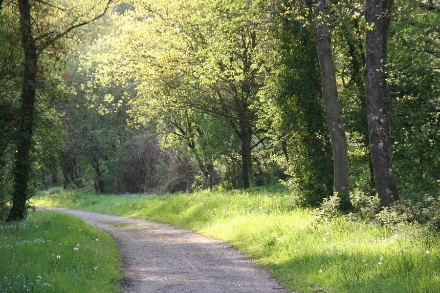 Voie verte Ploërmel-Guer-Messac