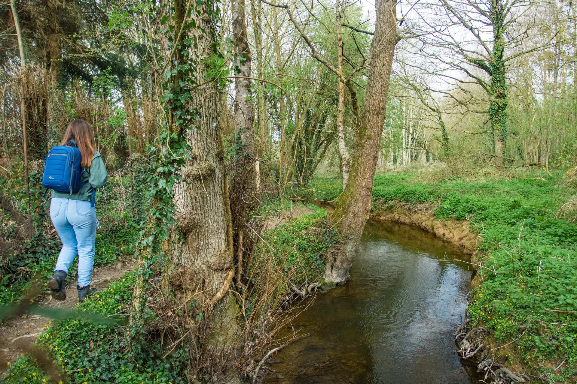 Vallée de la Vaunoise