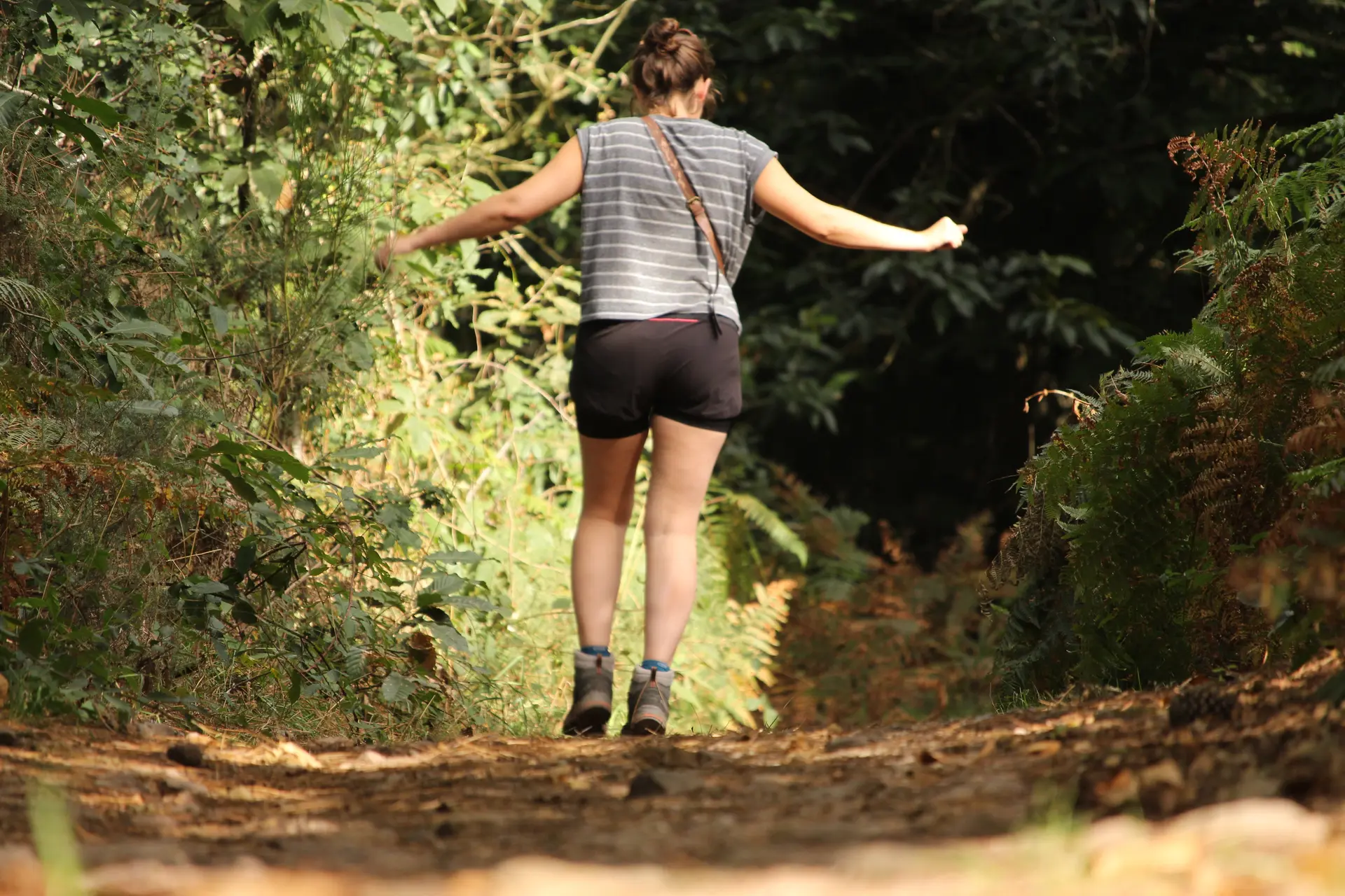 Forêt et landiers