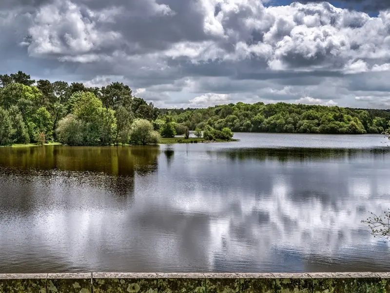 centre_arthurien_comper_lac_concoret_DestinationBrocéliande