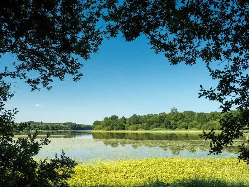 Lac au Duc