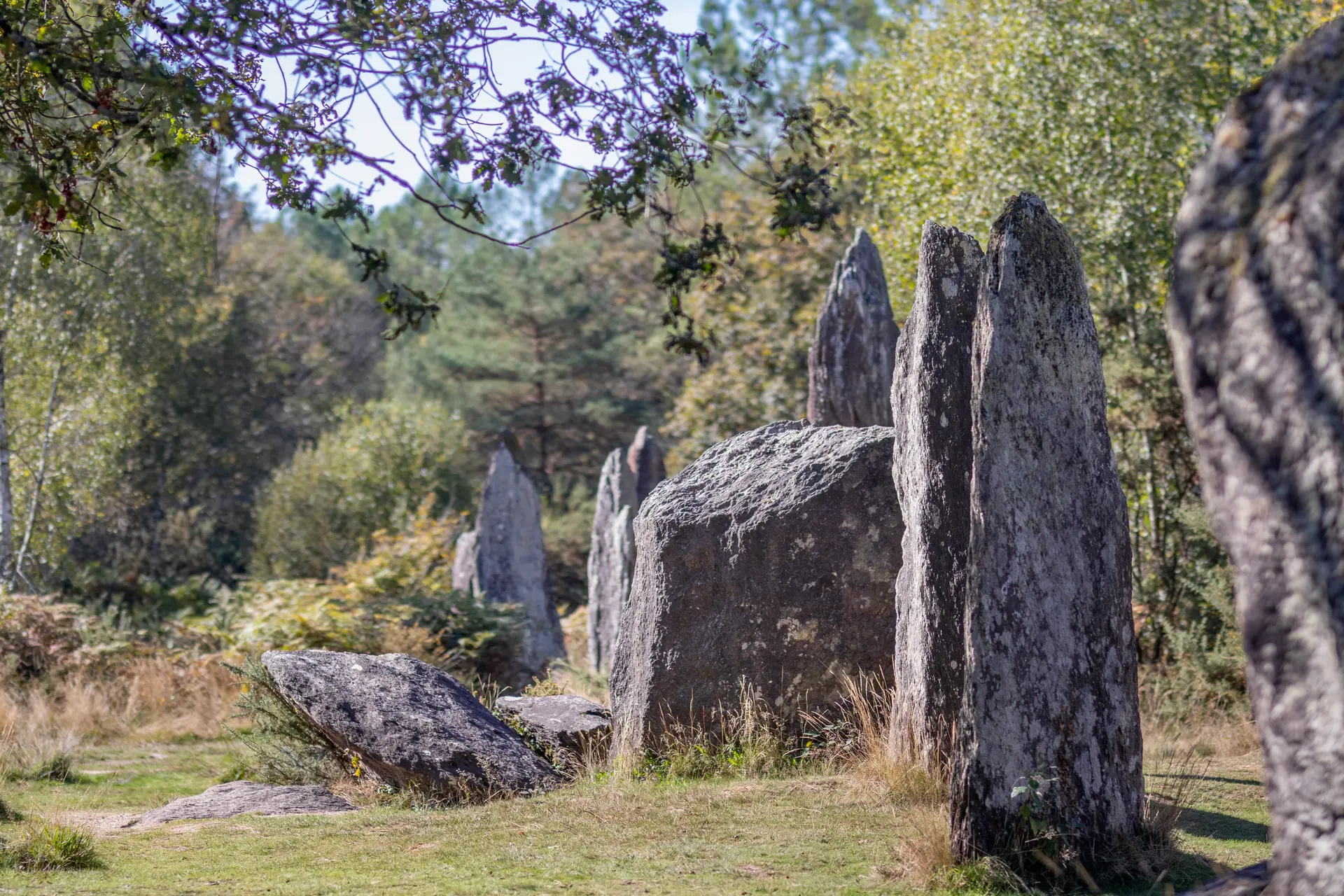 Le-neo-dans-tous-les-sens--NoellaPennanech---Destination-Broceliande-2