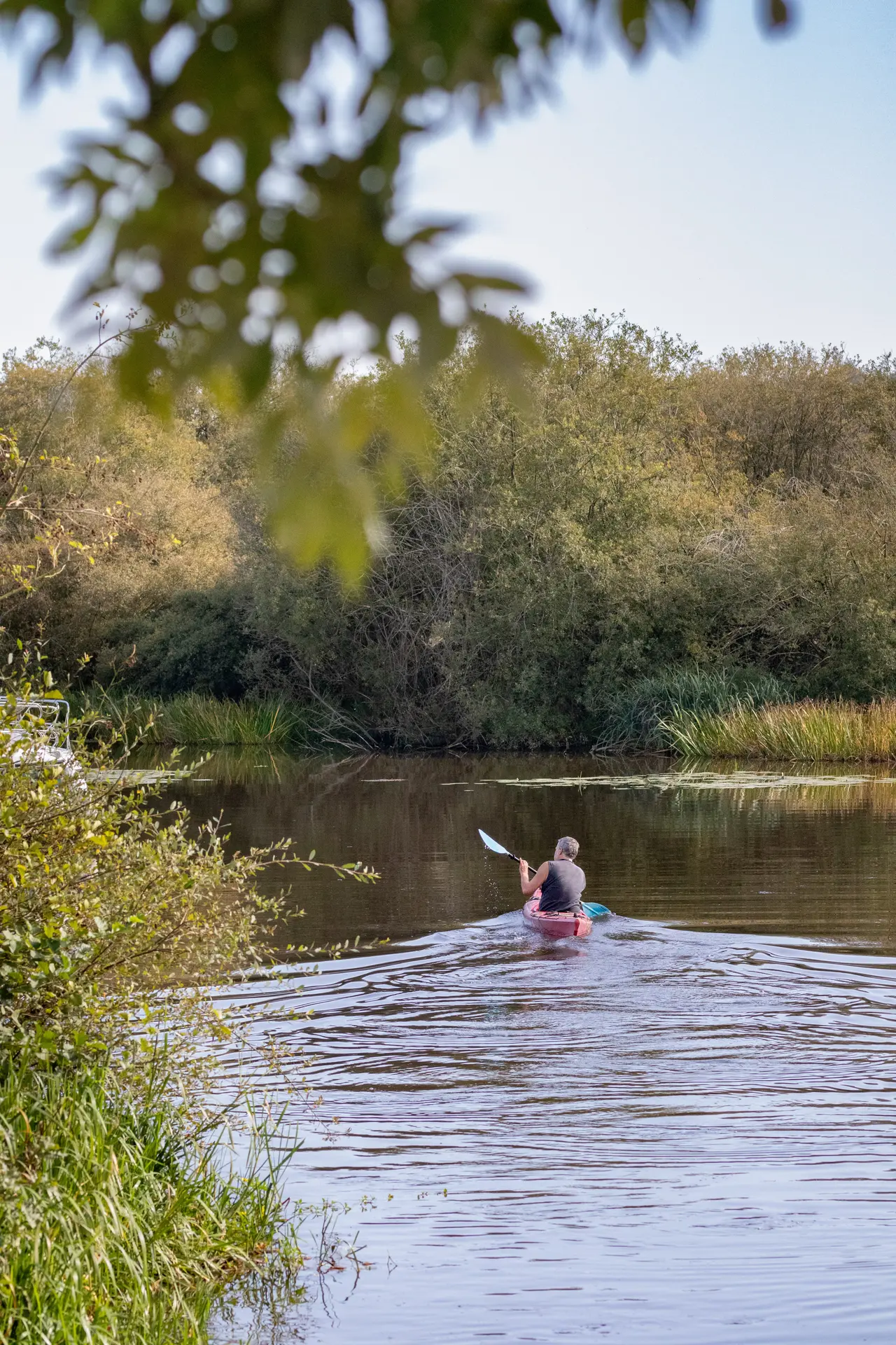 Marais de Glénac