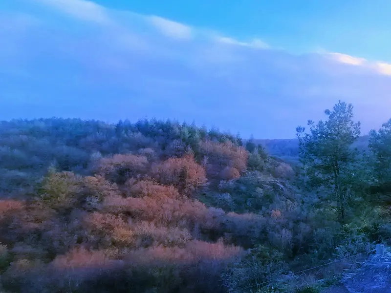 balades_contées_gouter_hiver_valsansretour_trehorenteuc_DestinationBroceliande