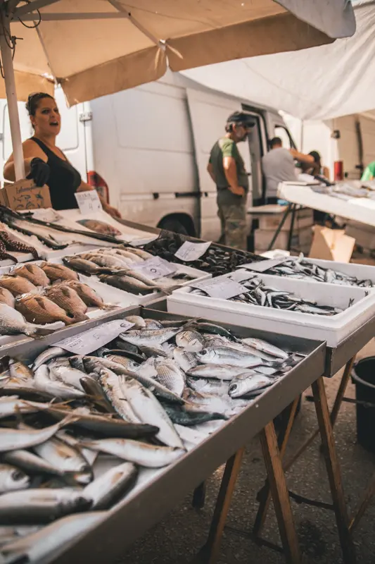 Poissons©marko-markovic_unsplash