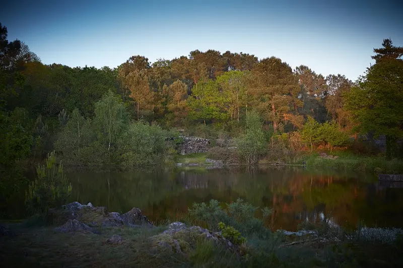Animation - Nature - Monteneuf